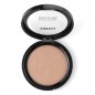 Grigi Highlighter Powder Pro