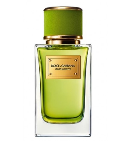 Dolce&Gabbana Velvet Mughetto